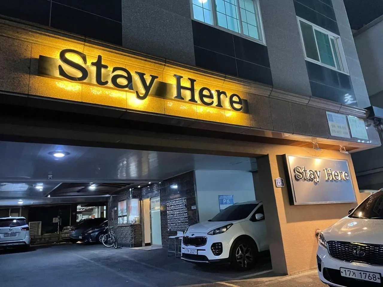 Stay Here Busan